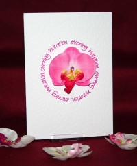 Photograph of the Orchid Evening Invite