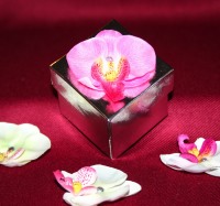 Photograph of the Orchid Favour Box