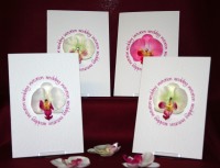 Photograph of the Orchid Invite Collection