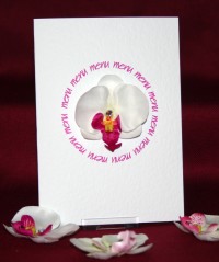 Photograph of the Orchid Menu