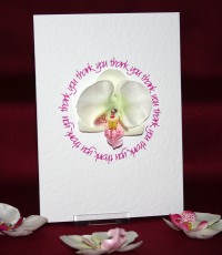 Photograph of the Orchid Thank You