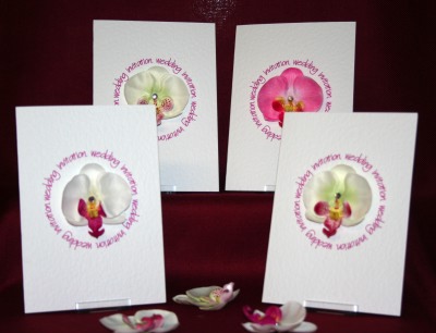 Photograph of the Orchid Invite Collection